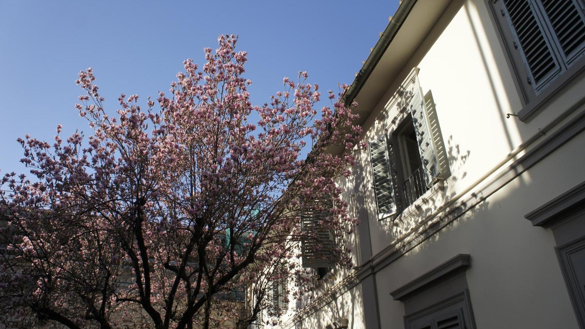 Otello Suite - Brand New Flat Santa Maria Novella Florenţa Exterior foto